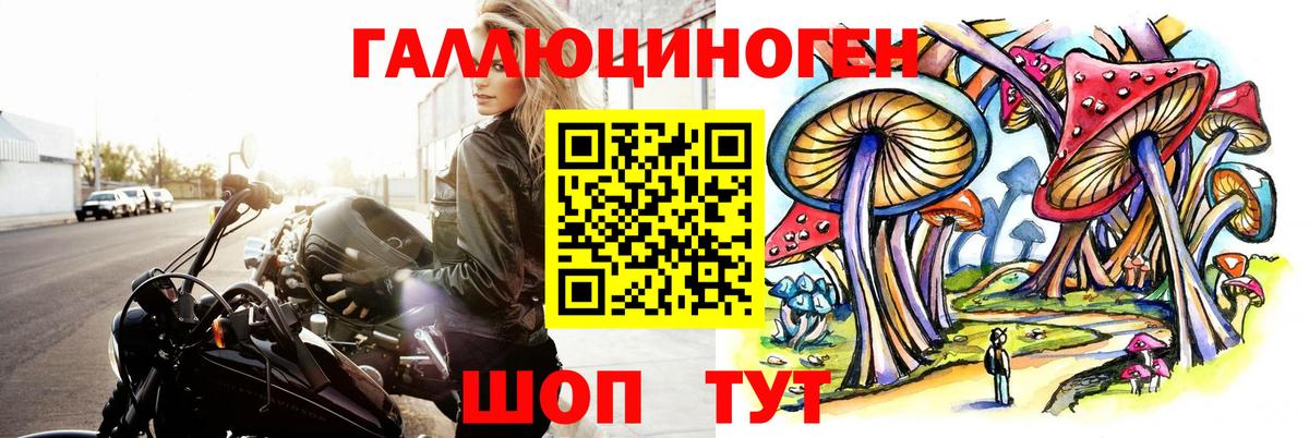 Дивногорск  Галлюциногенные грибы мухоморы  Вход с VPN  сколько стоит  Галлюциногенные грибы Cubensis 
